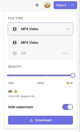 Export panel showing the file type options for downloading a map animation